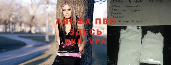 индика Абдулино