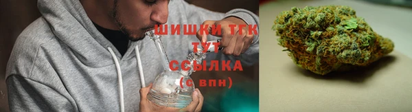 шишки Абинск