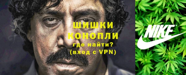 шишки Абинск