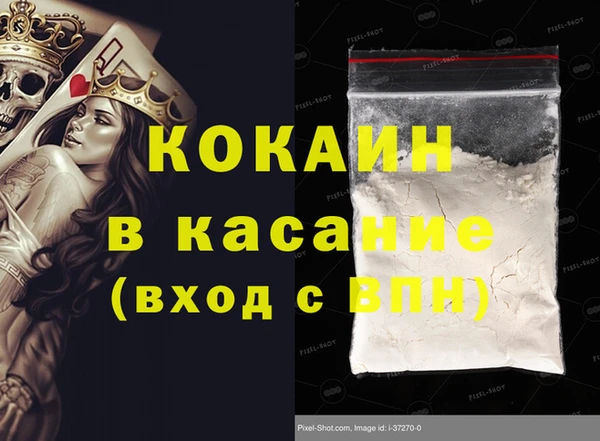 шишки Абинск