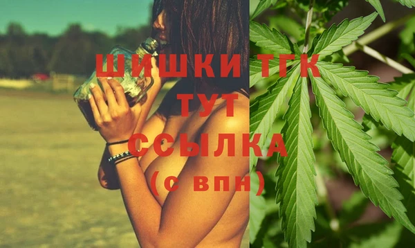 шишки Абинск