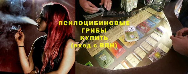 индика Абдулино