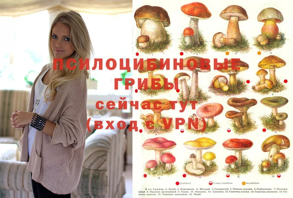 шишки Абинск