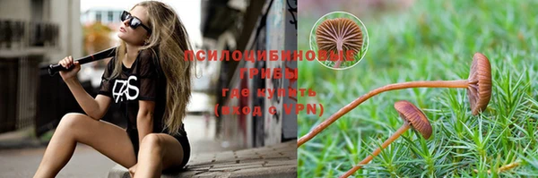 шишки Абинск